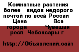 Комнатные растения более200видов недорого почтой по всей России › Цена ­ 100-500 - Все города  »    . Чувашия респ.,Чебоксары г.